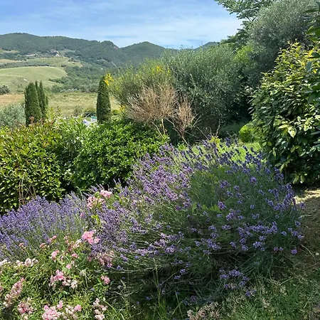 アパート 2br 2ba Near San Gimignano - Pool,air Conditioner,garden,wifi *
