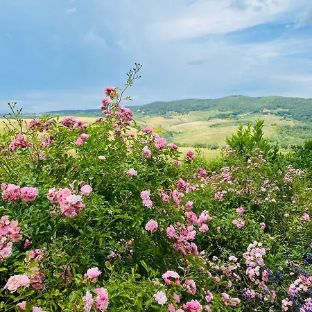 2br 2ba Near San Gimignano - Pool,air Conditioner,garden,wifi *